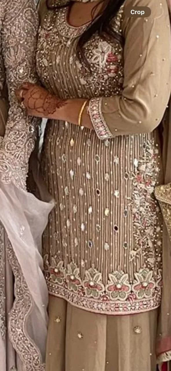 Stunning Pakistani Outfits thumbnail 3