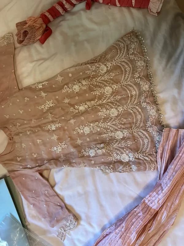 Beautiful chiffon blush pink with pearls, threadwork, 3d flowers and sequins — image 1