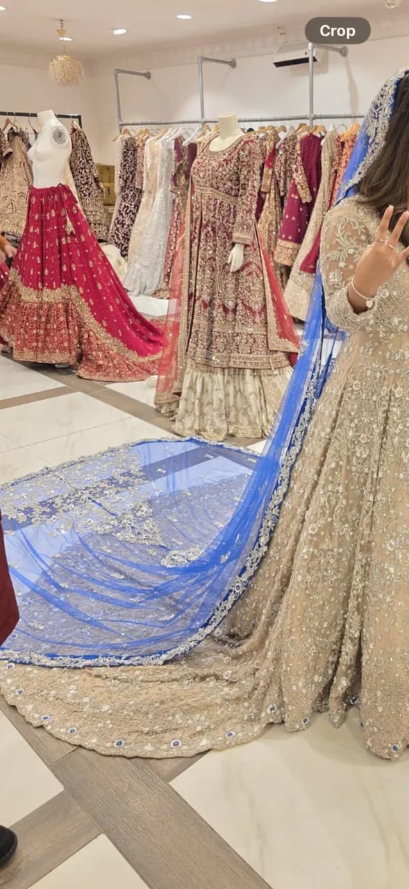 Bridal blue veil — image 1