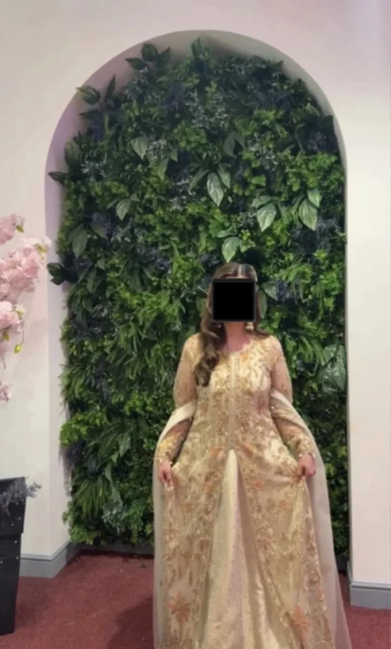 Pakistani Outfit — image 1