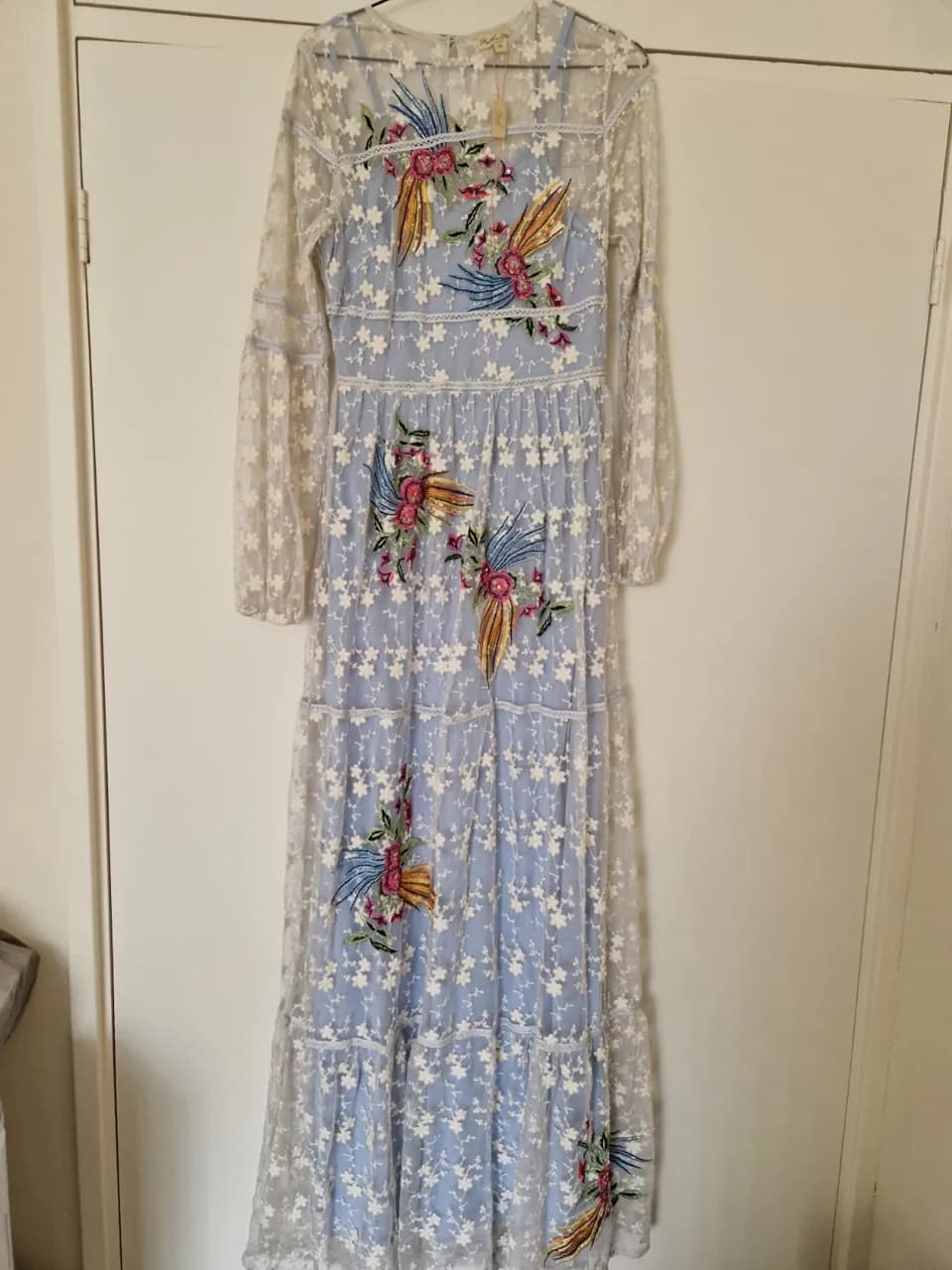 Frock and Frill long maxi dress