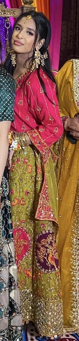 Mehndi Fancy Lengha — image 1