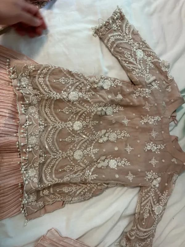 Beautiful chiffon blush pink with pearls, threadwork, 3d flowers and sequins — image 1