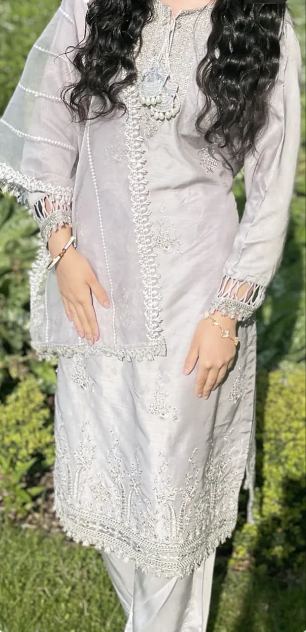 Silver elegance — image 1