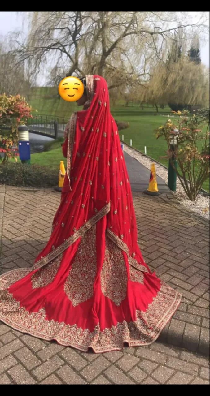 Asian wedding dress- DOLI — image 1