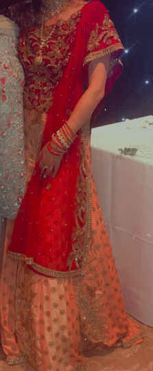 Party lengha — image 1