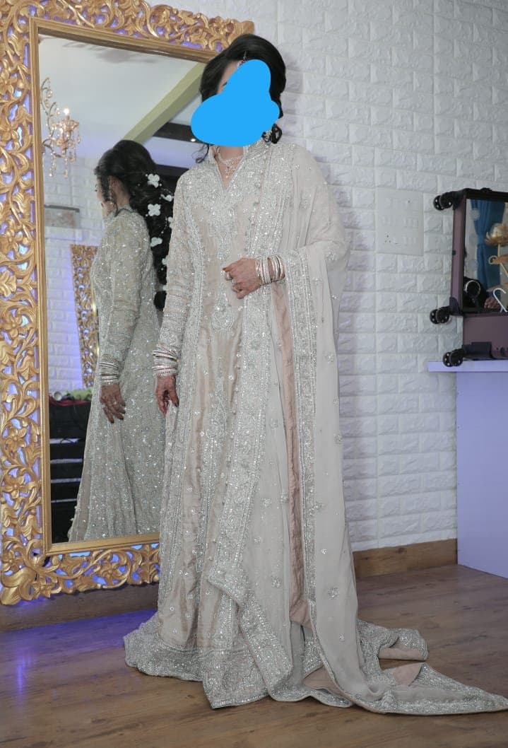 Silver elegant asian bridal gown — image 1