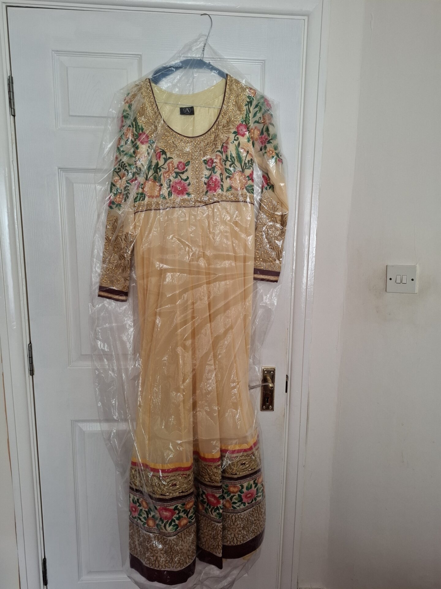 Indian Party outfit