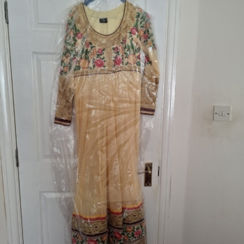 Indian Party outfit