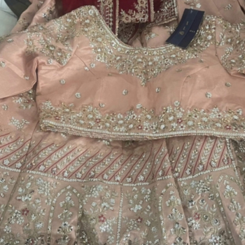 Lashkaraa Nude Pink and Red Embroidered Lehenga