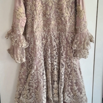 Asian Ladies Dress (Wedding/Party Wear)