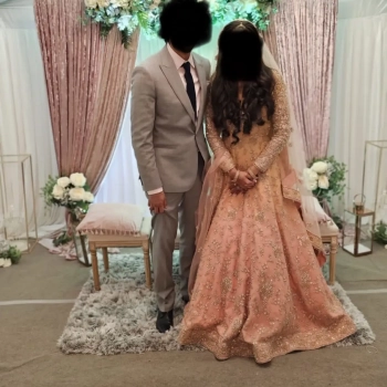 Asian wedding / wedding guest dress and veil