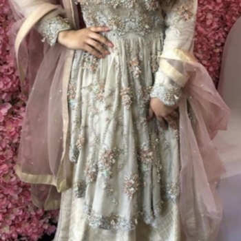 Asian party wear lengha