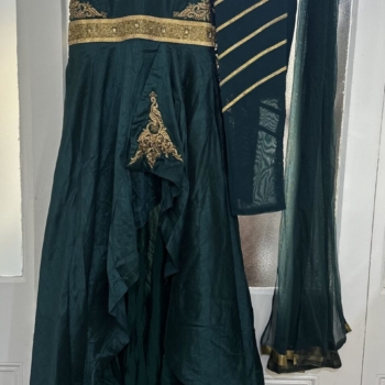 Elegant green and gold embroidery dress