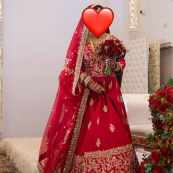 Bespoke Red Raw Silk Bridal Dress