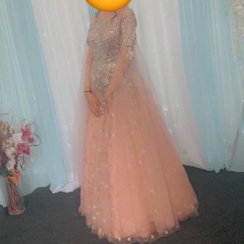 Baby Pink Ball Gown