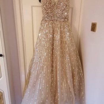 Wedding bridal gown sequinned